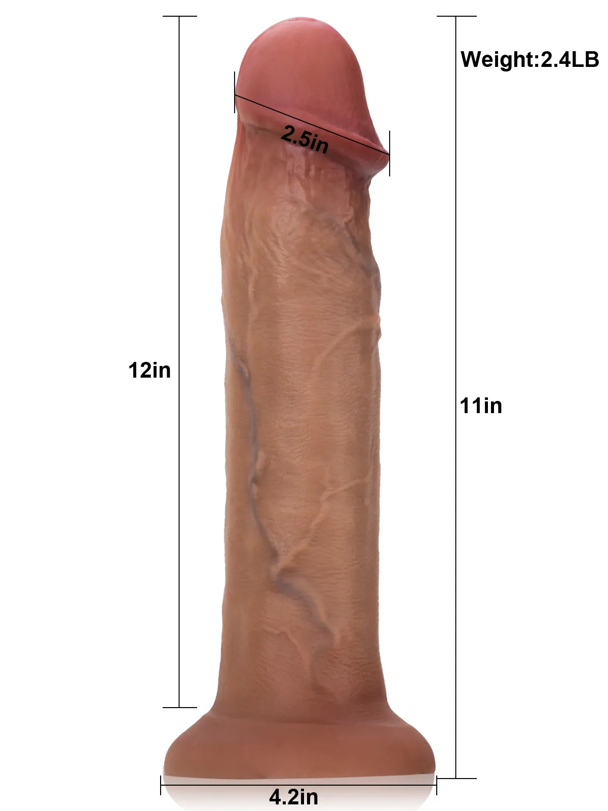 Wilson 12" x 2.5" Dildo Dimensions with 4.2" Suction Cup
