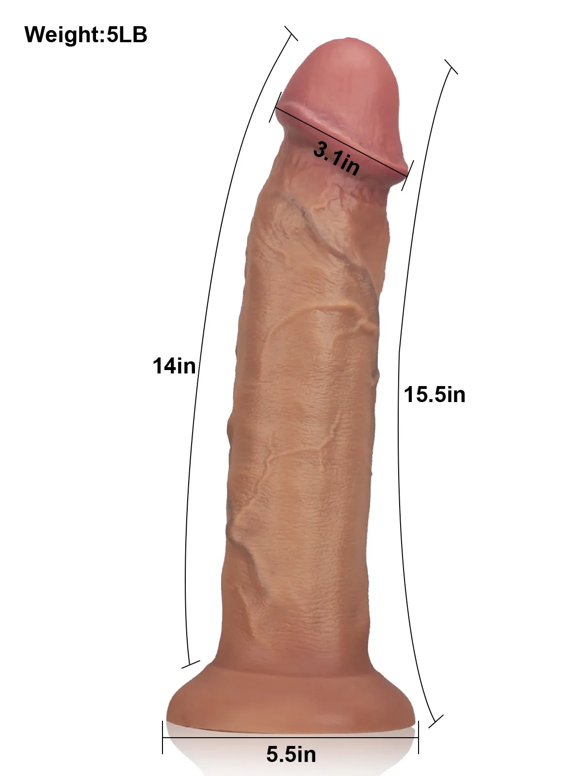 Wilson 15.5" x 3.1" XXL Dildo Dimensions with 5.5" Suction Cup