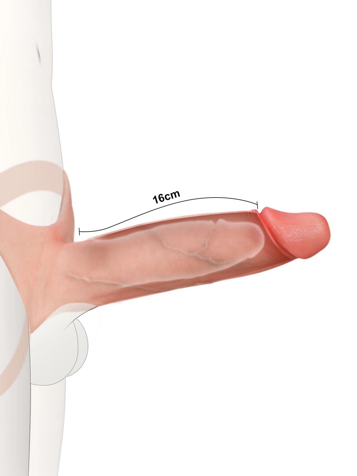 Seraphine 8.3" x 2.2" Realistic Hollow Strap-On Dildo & Extension Sleeve