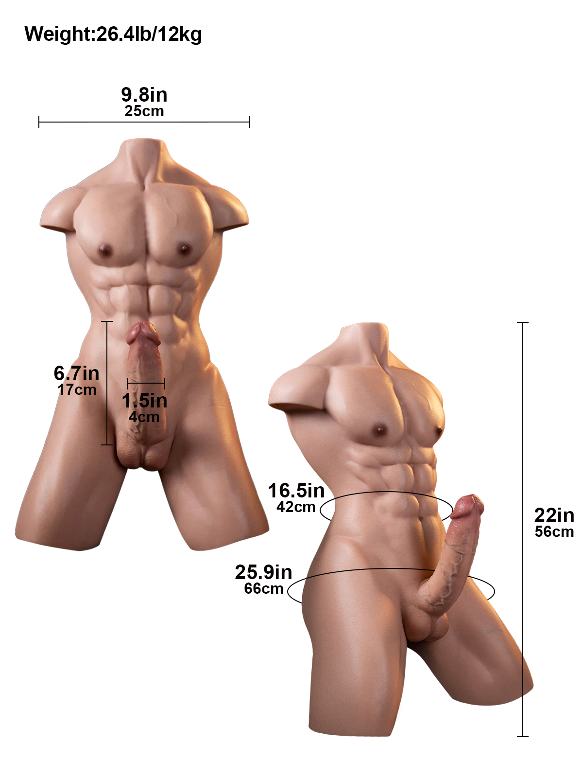 Serge 22" Realistic Male Torso Dildo with 6.7" Shaft & Anal Channel, 26.5 lb